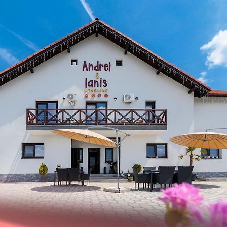 Agropensiunea Andrei & Ianis Daesti Dış mekan fotoğraf