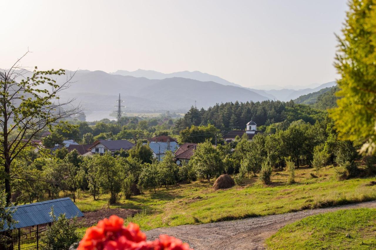 Agropensiunea Andrei & Ianis Daesti Dış mekan fotoğraf