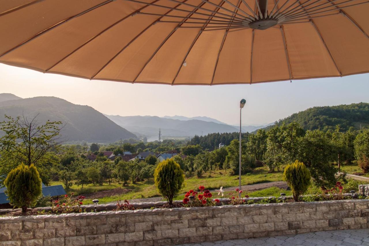 Agropensiunea Andrei & Ianis Daesti Dış mekan fotoğraf