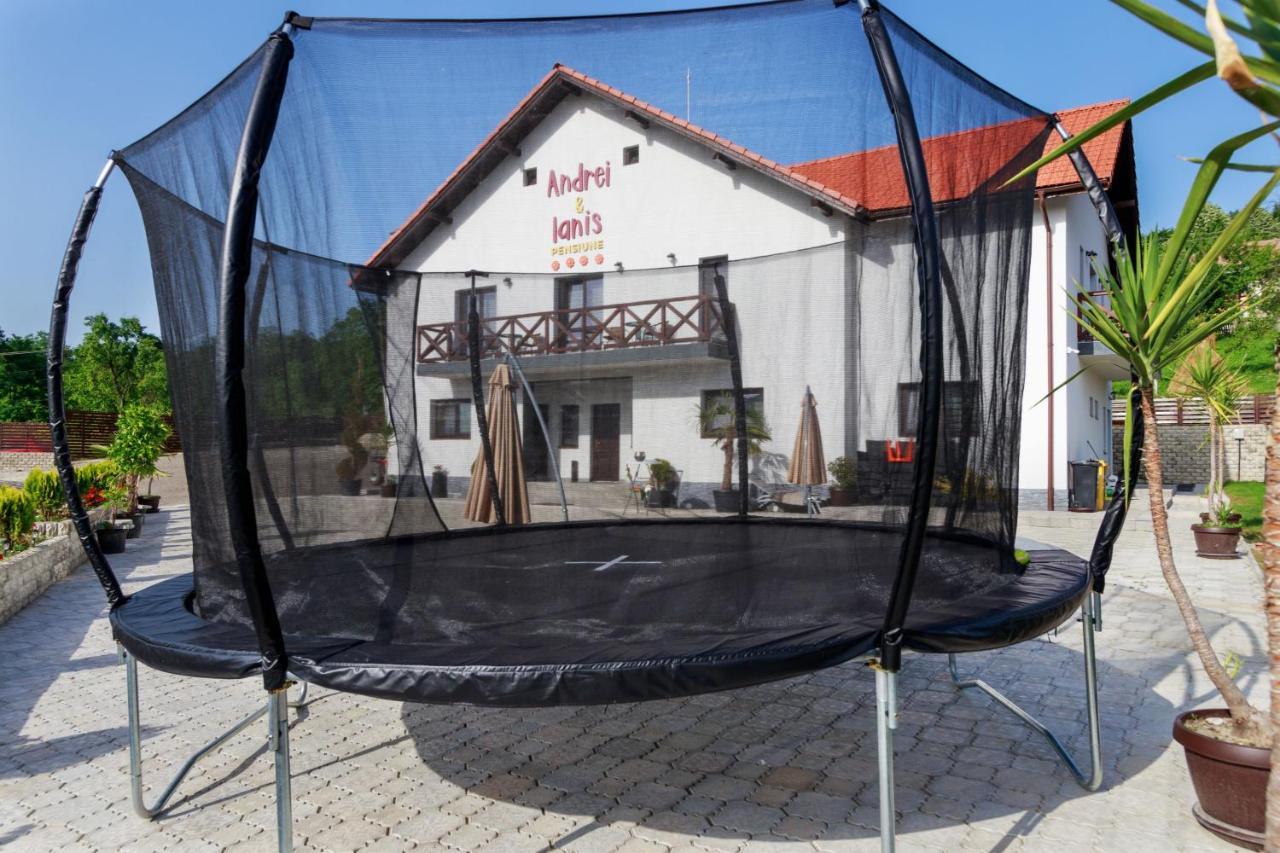 Agropensiunea Andrei & Ianis Daesti Dış mekan fotoğraf