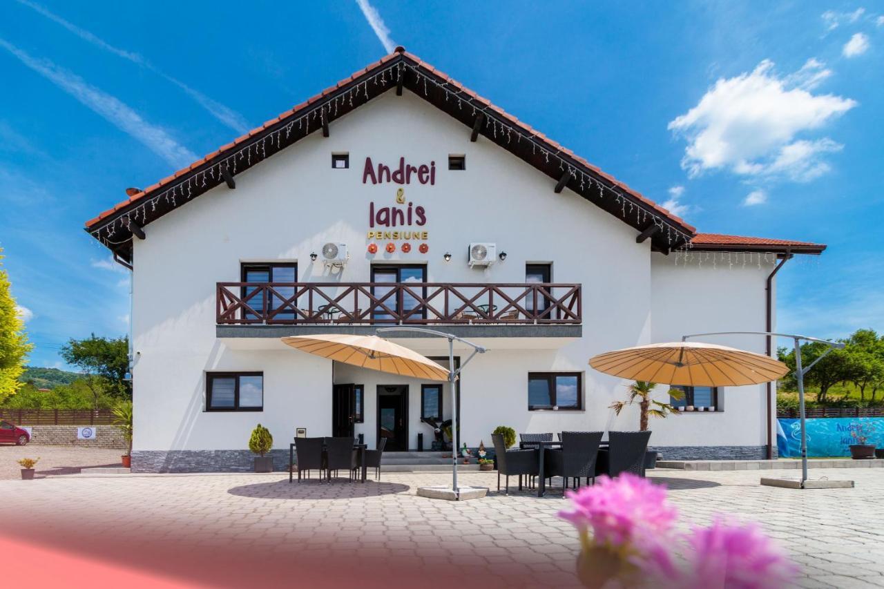 Agropensiunea Andrei & Ianis Daesti Dış mekan fotoğraf